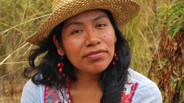 Irma Galindo: reportan desaparición de la defensora de bosques en Oaxaca