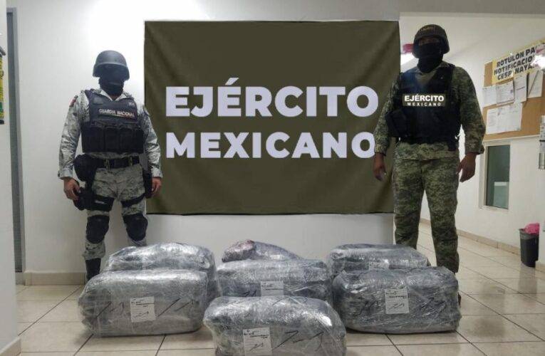 Aseguran 150 kgs de cocaína en la Tepic-Puerto Vallarta