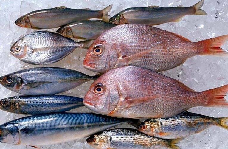 Se disparan los #precios del #pescado en expendios de #PuertoVallarta