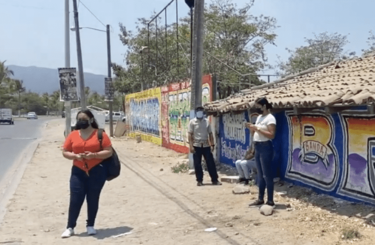 Falta de trabajadores en Puerto Vallarta afecta operatividad de transporte público.