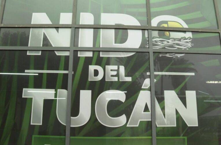 A falta de resultados en cabildo los verdes Inauguran el «Nido del Tucán» del Partido Verde en Vallarta.